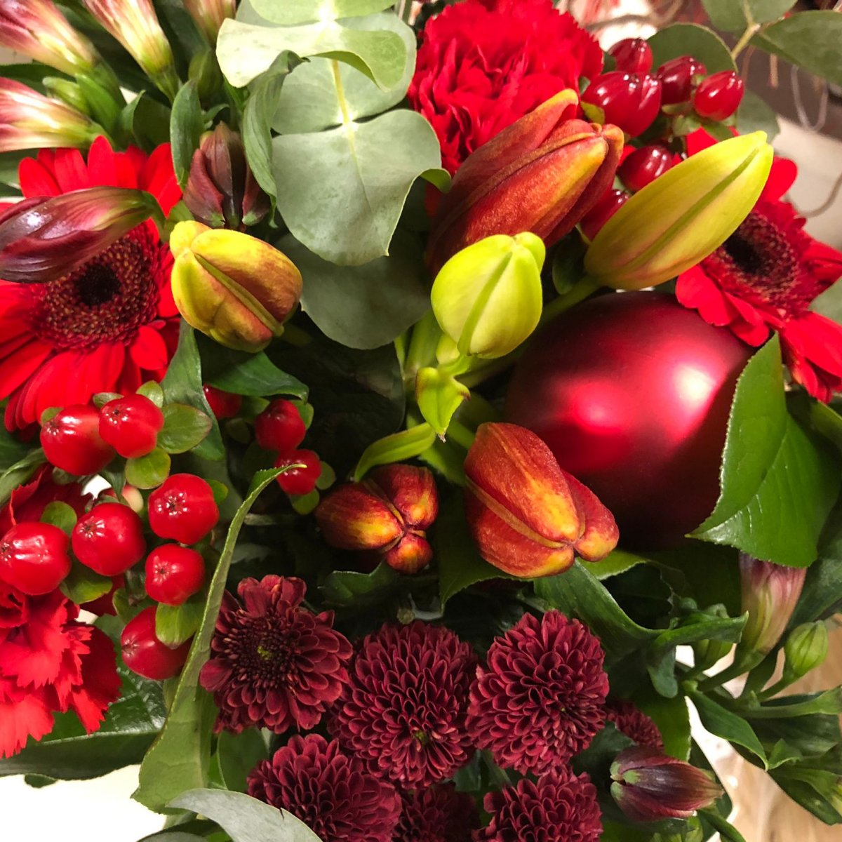 red-or-white-christmas