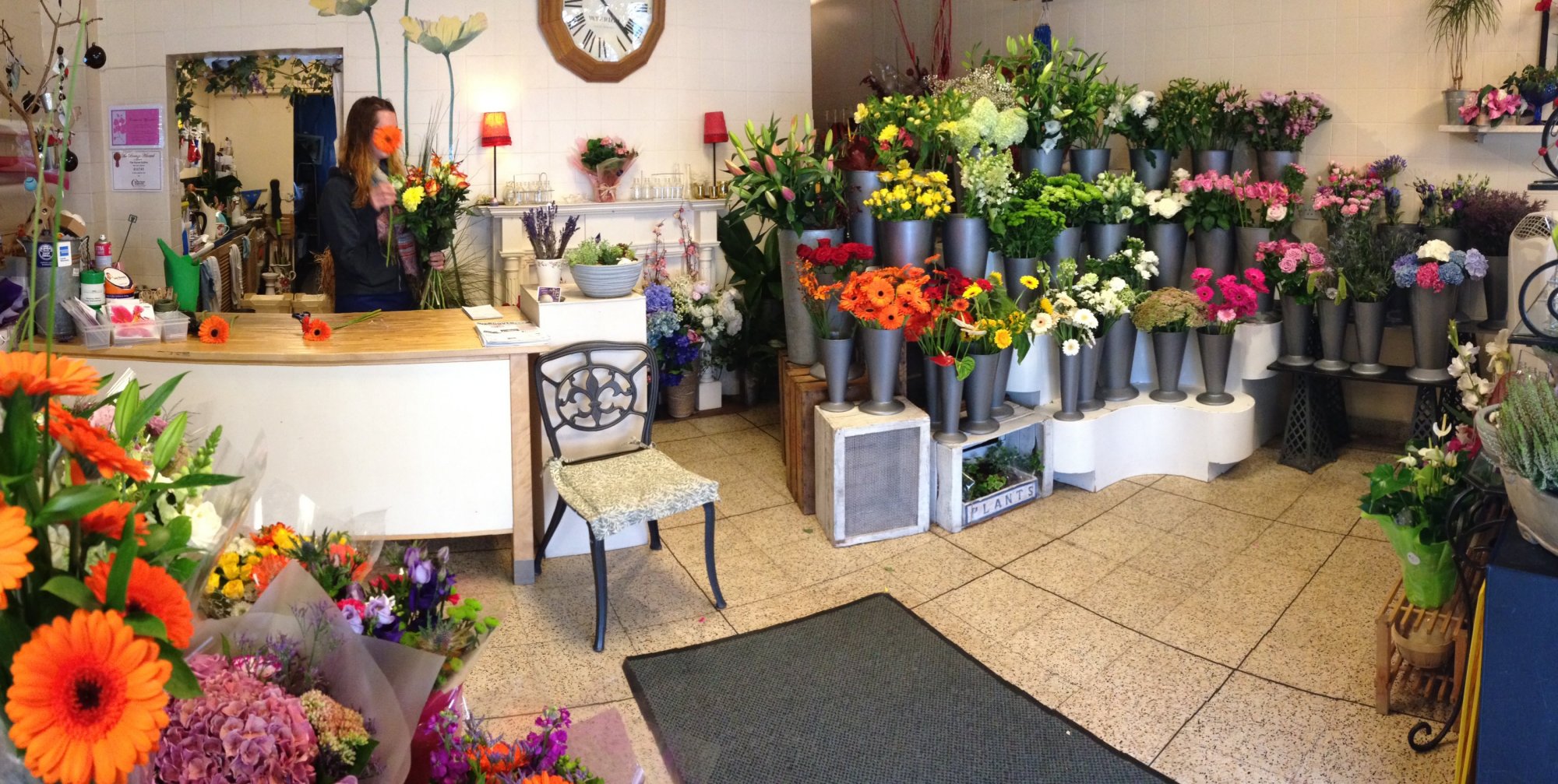 about-wendover-resident-flower-gallery-friendly-expert-service-fresh-seasonal-plants-delivered-direct-Holland-shop